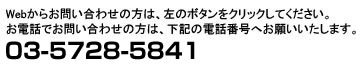 お問い合わせ：03-5728-5841