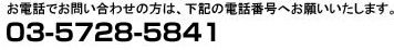 お問い合わせ：03-5728-5841